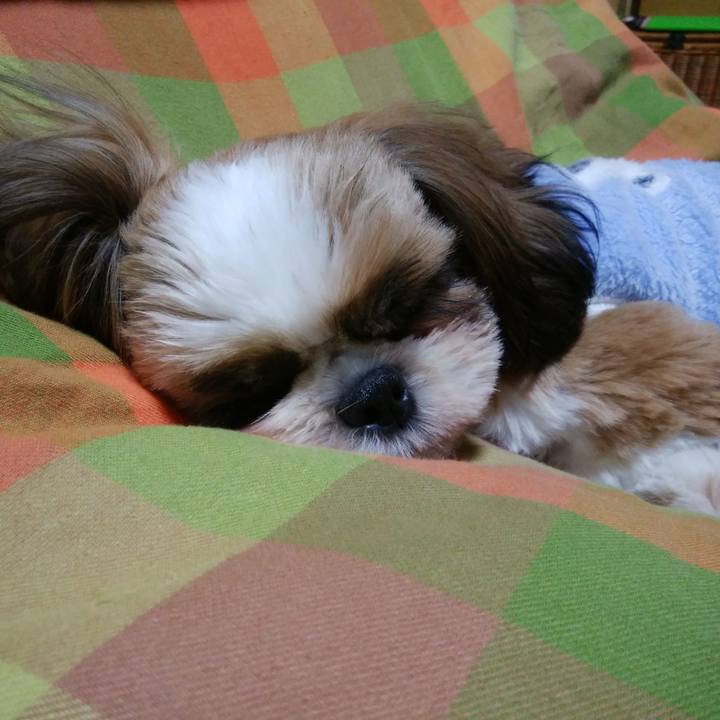 Cb84488e 9f0f 453c bea0 459ce05dd175 1540896936447