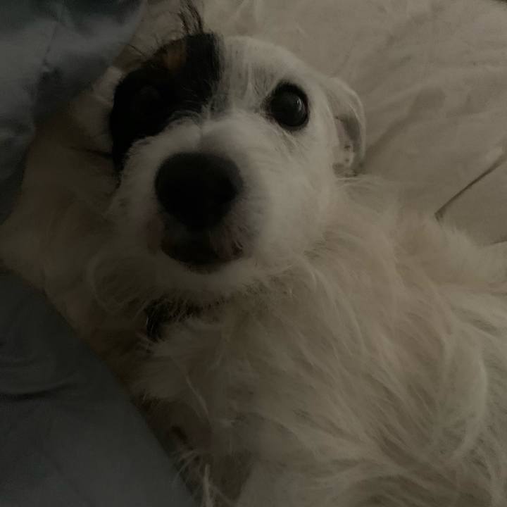 Cb84531e 2916 4018 9463 49f326d6d761 1600353437313