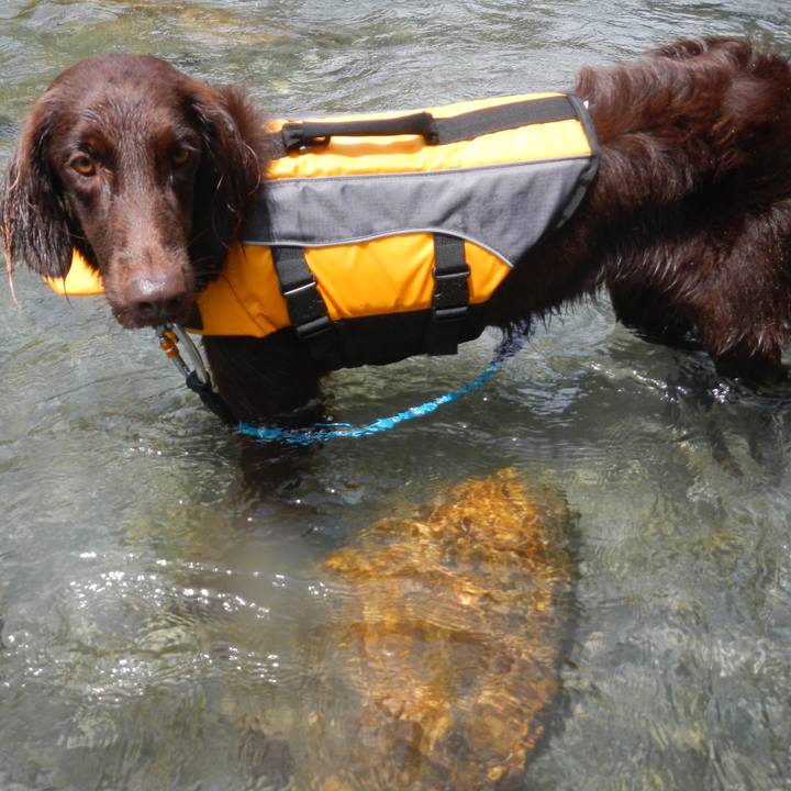 Cb845352 6863 4a55 a7c3 2fabc20beb27 1597370483391