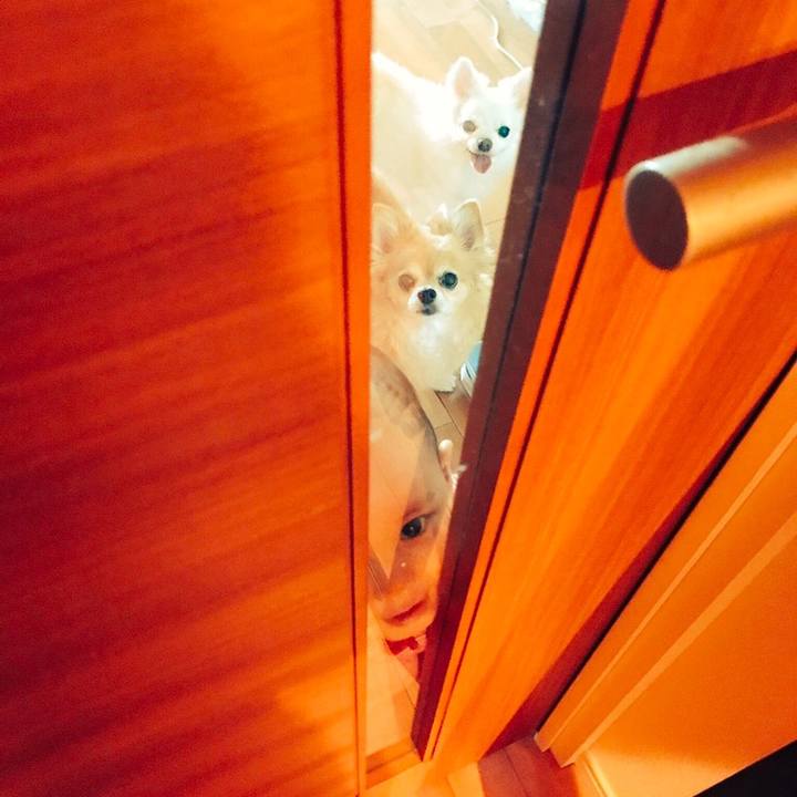 Cb845657 2671 49d5 bd28 eb1b23570f63 1546737792556