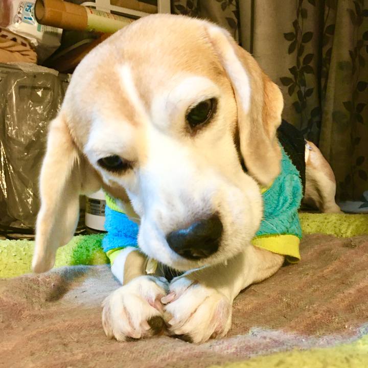 Cb8463a4 849b 4243 ab87 666bd0a82b39 1766913862422