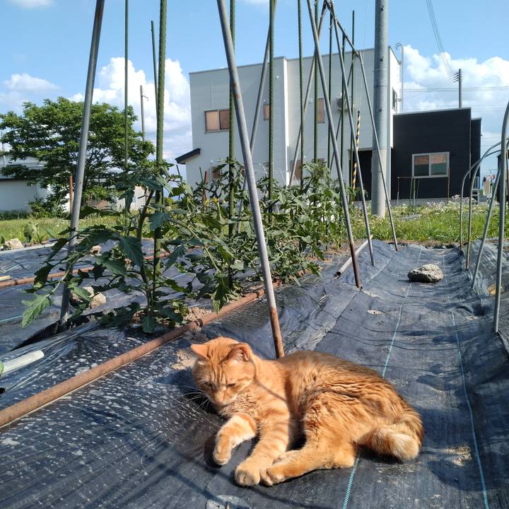 Cb846f81 3f8e 4f4b 9eb7 a42408f0997b 1717235445705