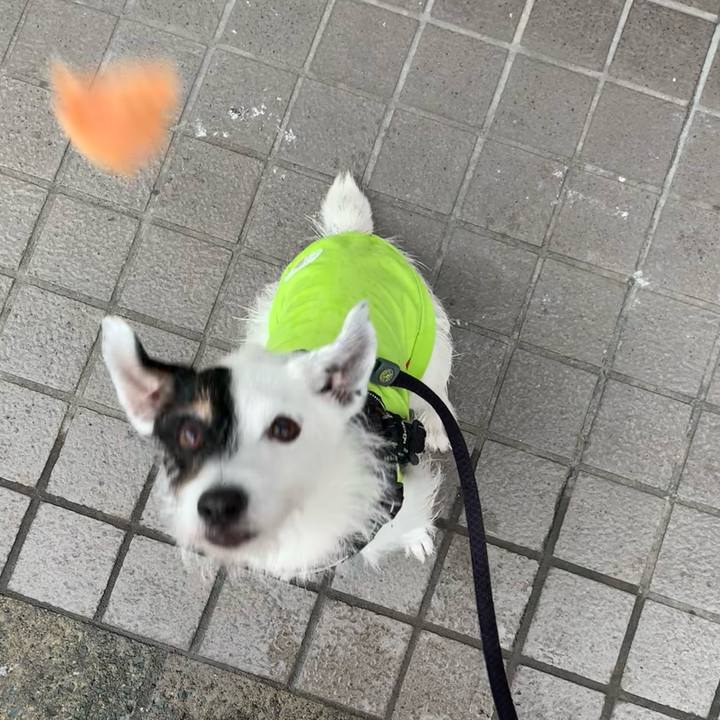 Cb84cec2 1bd6 4429 879a 930c109020ab 1718958332968