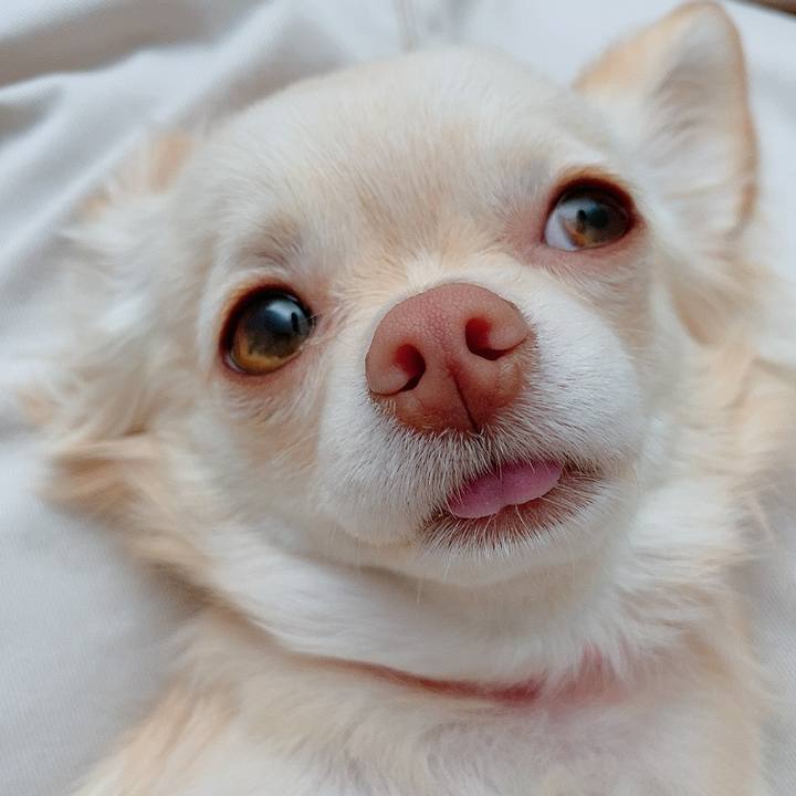 Cb84cfa2 abbf 46d2 9c5b bd918bc85ff6 1613881946812