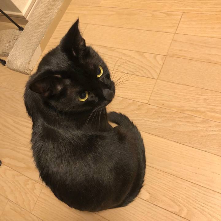 Cb84fb2a e906 4d71 89c3 cecc9865c312 1542881275364