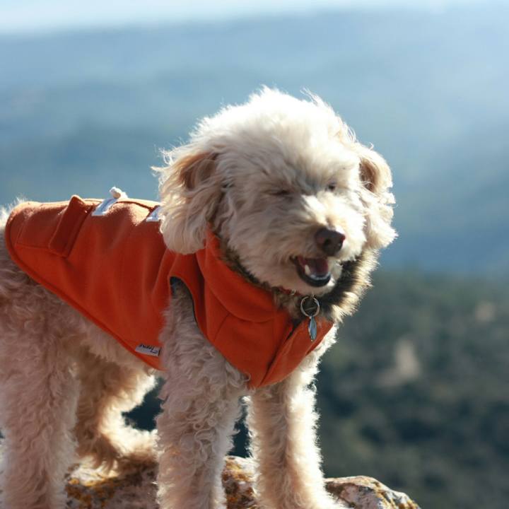 Cb851046 869d 4486 9b90 0779e0c3b9d4 1546371406439