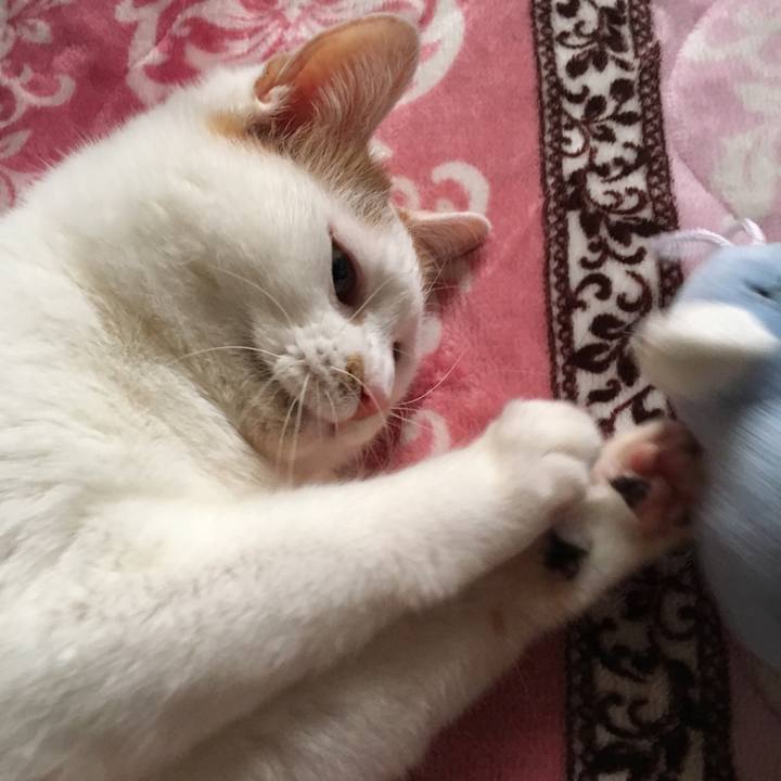 Cb852a9b 5a49 4534 b4a2 8603967dbbc4 1552137391145