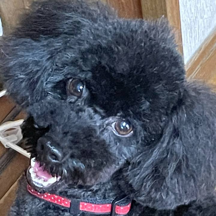 Cb854024 a961 448d 9e42 1ee96bf9cd22 1627707799812