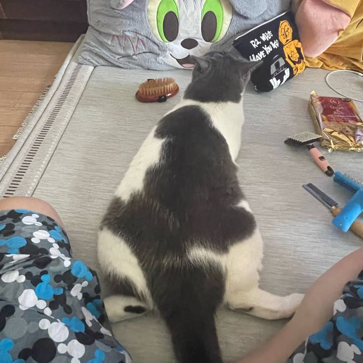 Cb85599c 4a54 47b2 91a7 1fa0ac53f8bd 1754180364108