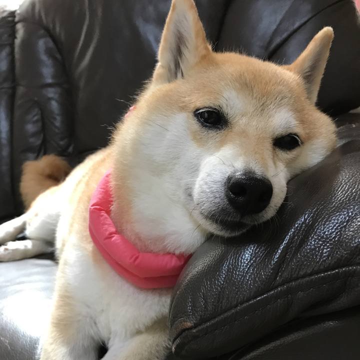 Cb856b27 052e 43d8 b79b 65245060a9ad 1530707439927