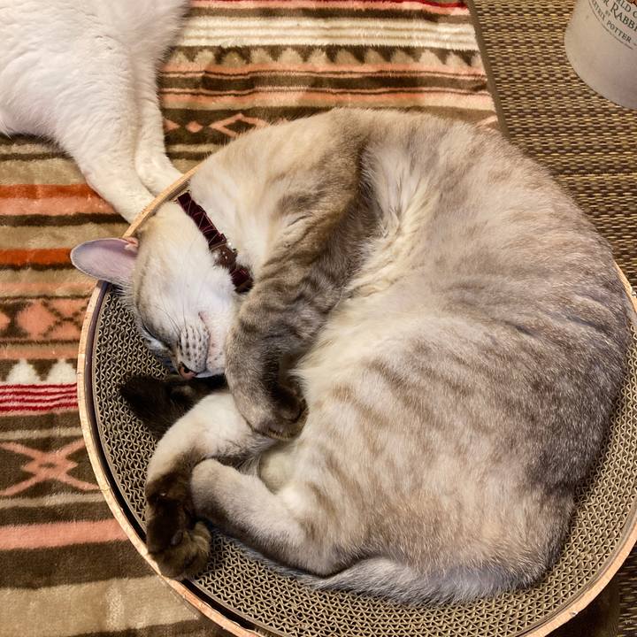 Cb857cad d856 4f50 9233 894ab50a4e75 1639231135383