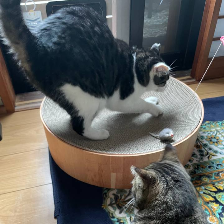 Cb859a8c 8626 4954 a96b a6411d7e489e 1634021371498