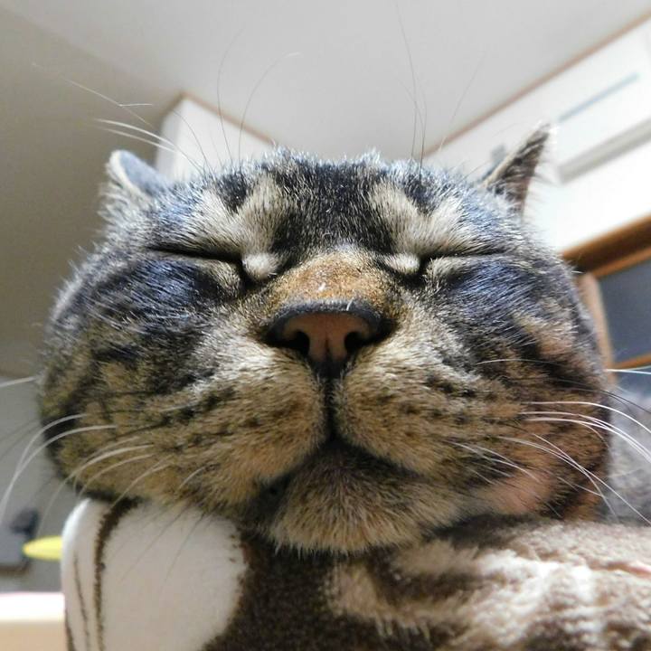 Cb85d859 c62b 4b6b a033 57f0a92489cb 1521124489666