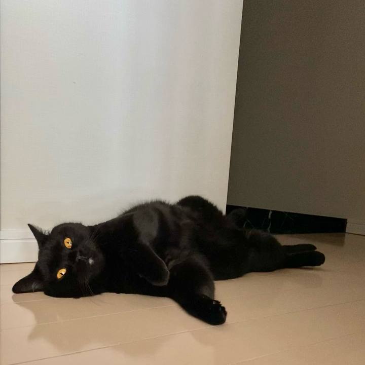 Cb85f6c0 2995 49b2 8d51 6f3bfaa07367 1623458554706