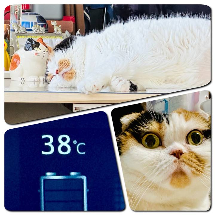 Cb85f958 d911 4346 b7b9 98b7d39a0b02 1723442131619