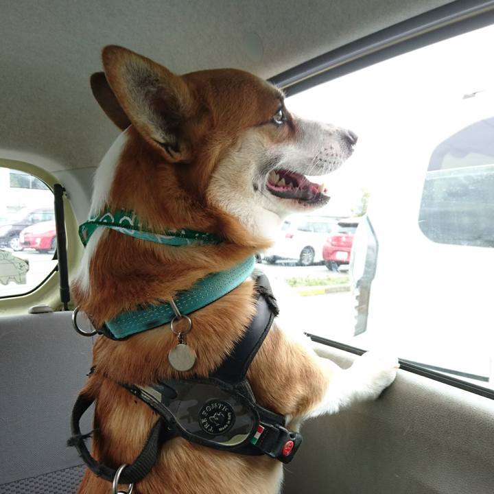 Cb862236 5e62 49ca 97ce 6d6b7efece7a 1648621664164