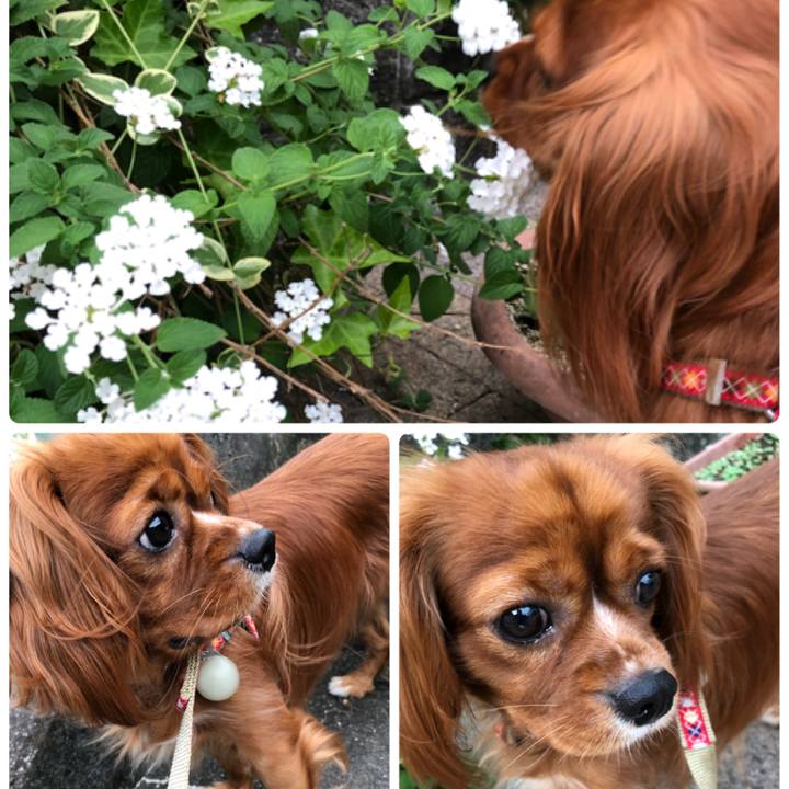 Cb862322 b789 42e4 9a3f 9ea4f1a3d280 1531347090867