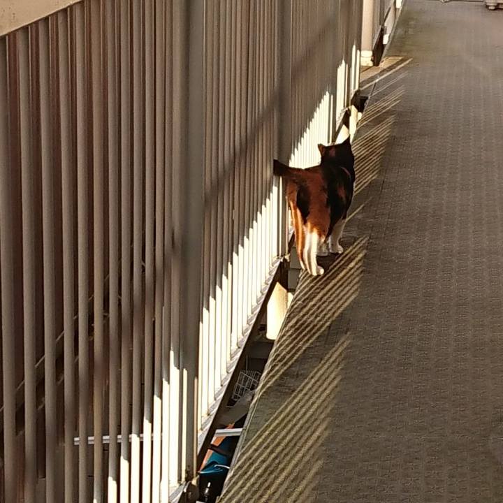 Cb86338c 4dce 46da ad9f 33a98d315dc0 1592215717987