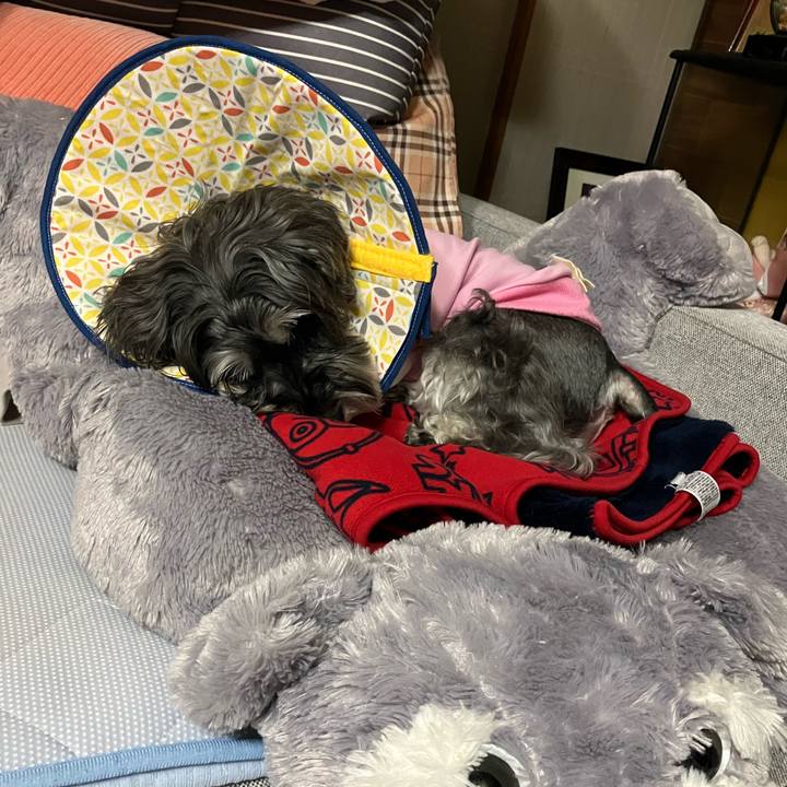 Cb8668f9 15e6 4676 899e f7beb4cf5338 1713574186069