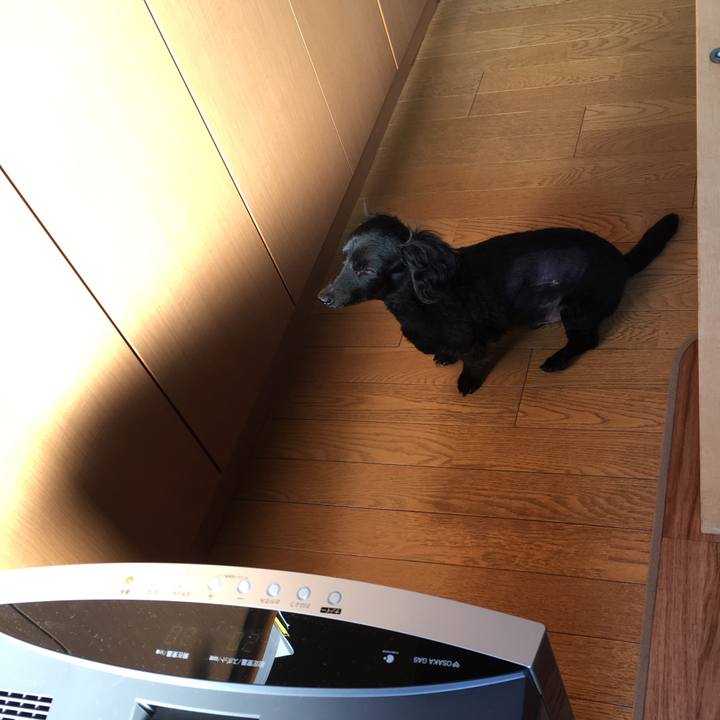 Cb867ee0 a2a7 4be2 bd0f 4a4b390cd3c1 1511046912528