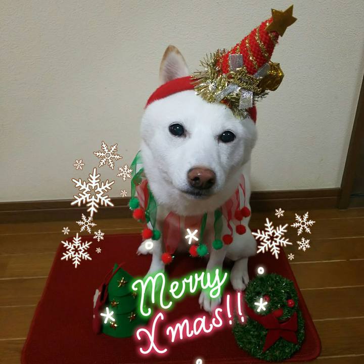 Cb86aadd 606b 4b7e aad7 8d8a07667906 1608774923577