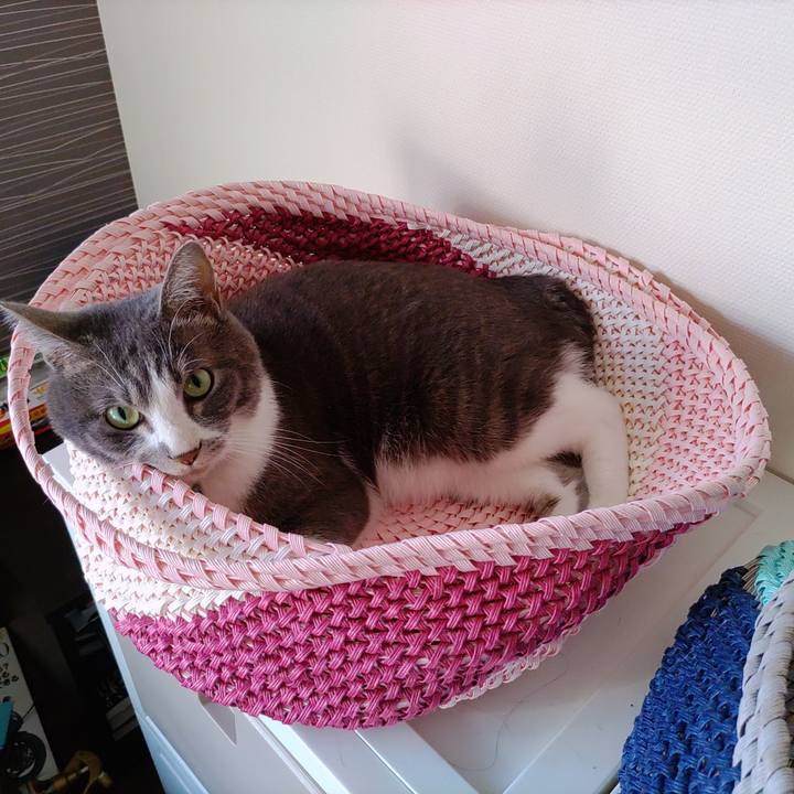 Cb86bbed 4d66 4a52 8416 6eb5cc32604c 1656455171285