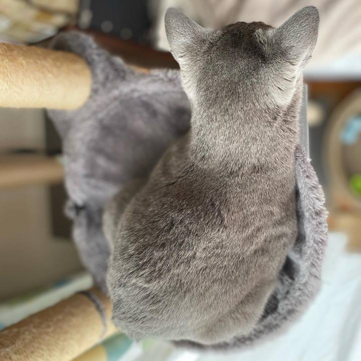 Cb86c814 94e8 42da 981e 50b01080a639 1642569092915