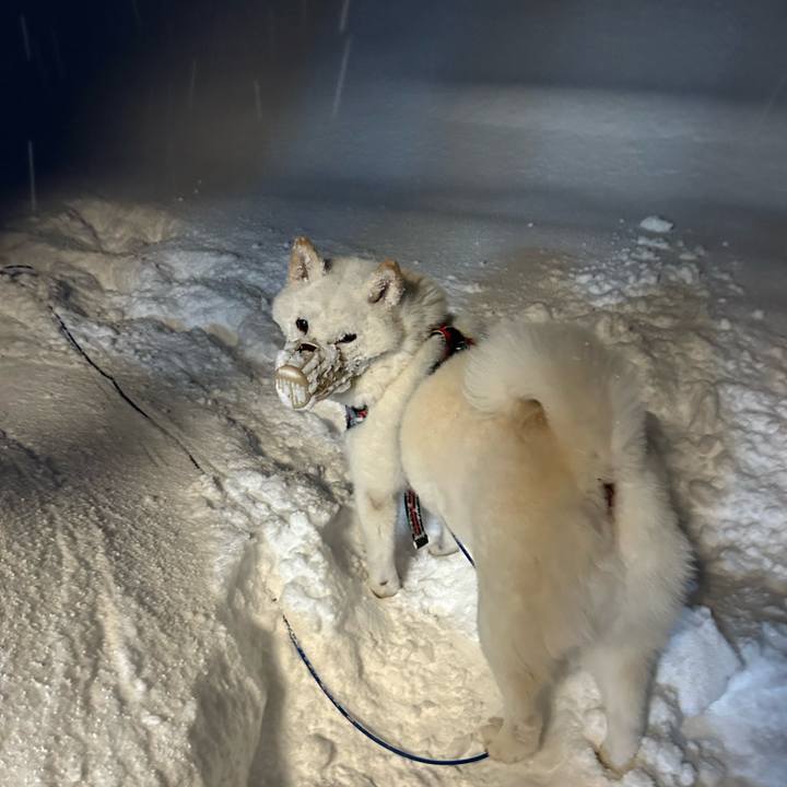 Cb86cc76 7581 47c7 8c25 47090503634e 1765577942976