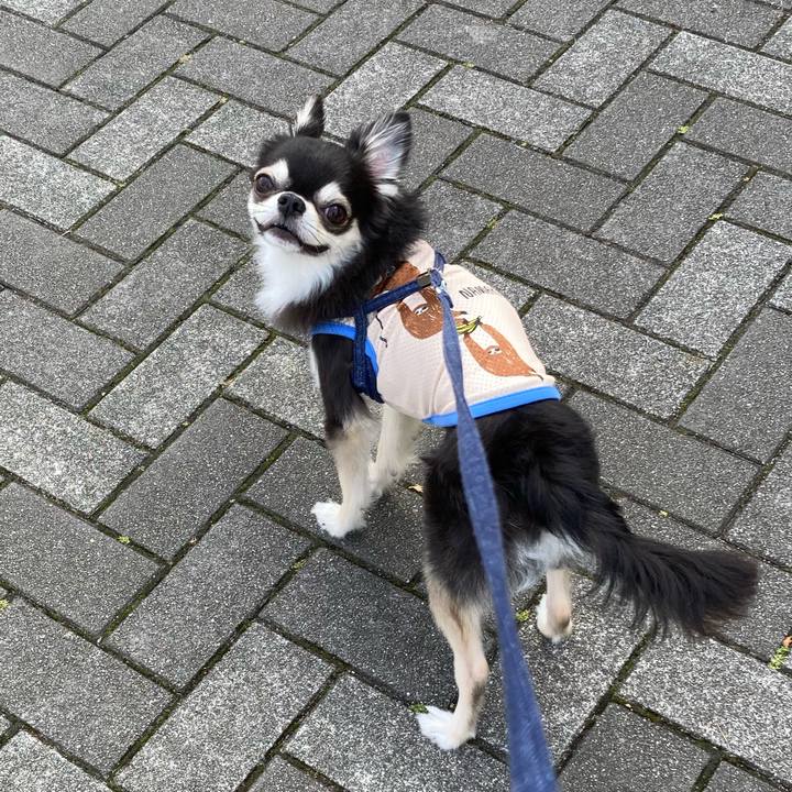 Cb86ce35 4254 44c1 a139 3bcc8b531981 1684683443172