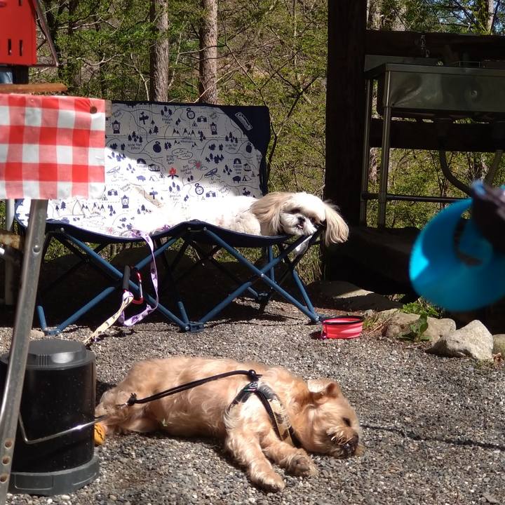 Cb872220 e7c3 4d82 900b 5f8819b9af8d 1651963487481