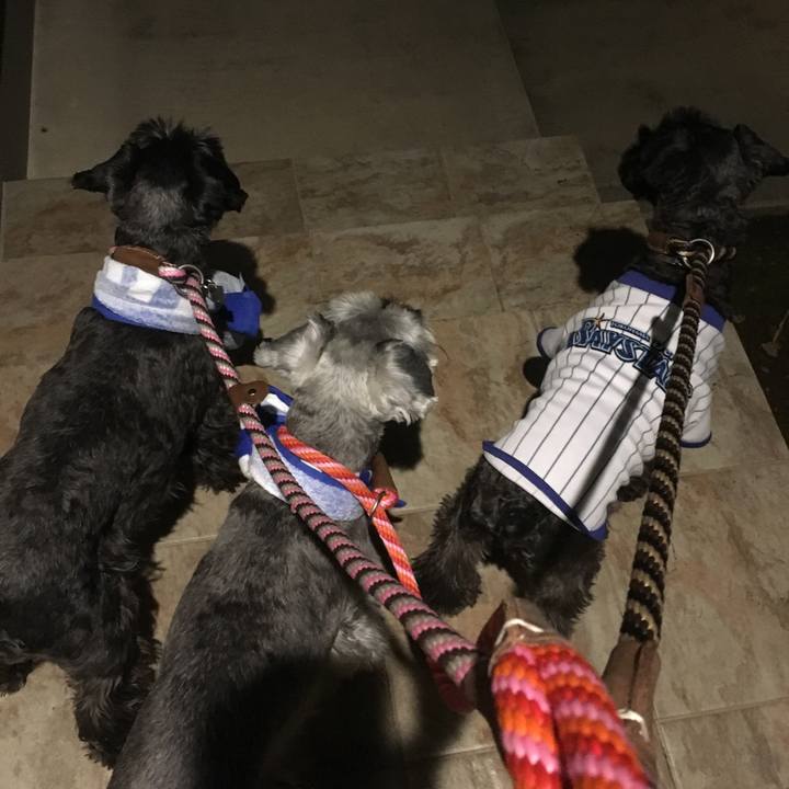 Cb872d4a 2e43 4965 bb3e 8f8a9a6f2772 1509630159842