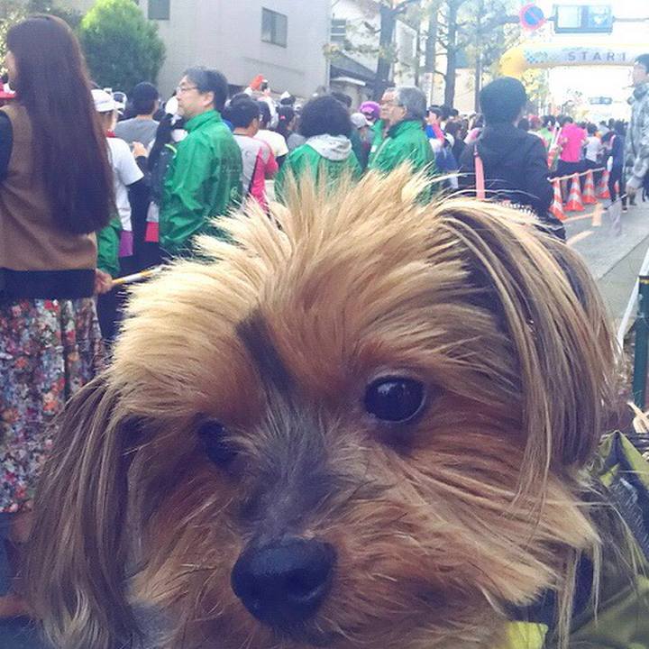 Cb873d24 4ca3 46ab 9240 a90df66f04a9 1511656006768