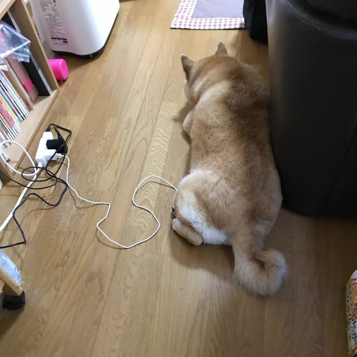 Cb8747bb 0a57 4bba be2a facc361f3941 1526024925617