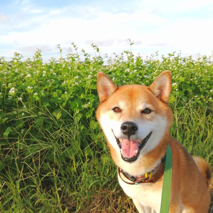 Cb8752e1 85a7 4d70 ad63 4a3d63fb0374 1663141378746