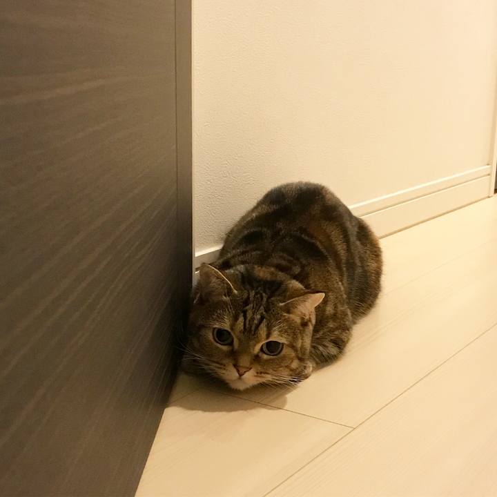 Cb877c17 b67c 4ac0 afb6 1f8fe16e95cb 1513424266906