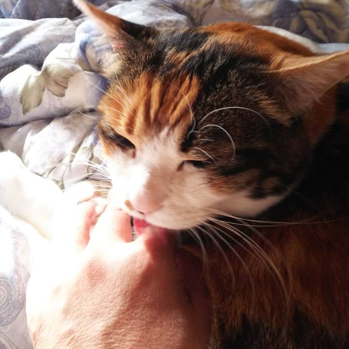 Cb87bd6b 3ffb 4363 b111 bdcc05a11d5c 1546313590277