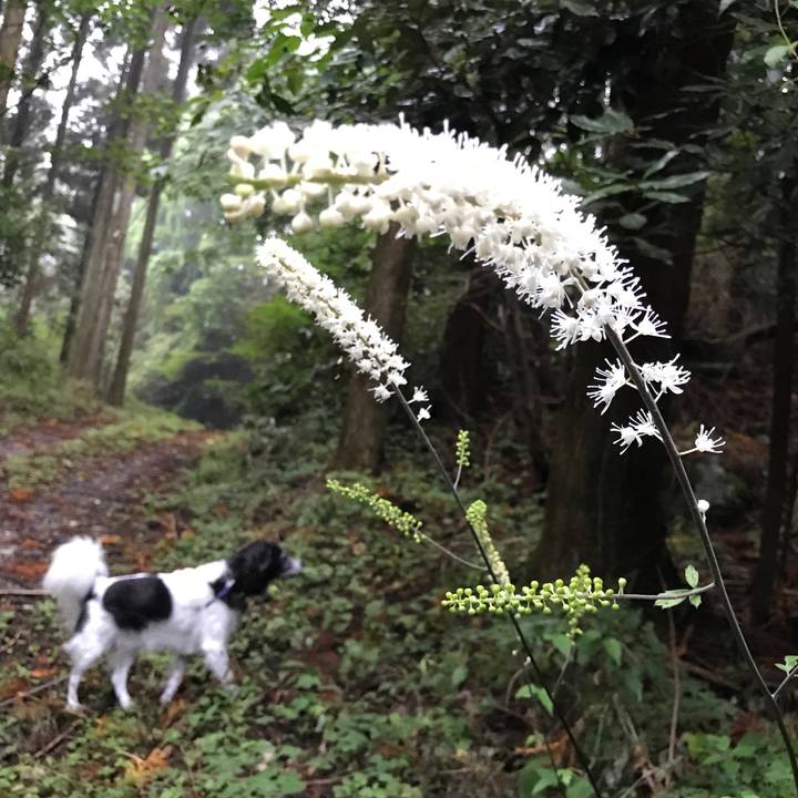 Cb87d3be 1cc5 41a0 bee9 40f9cf0ae2bc 1538999503568