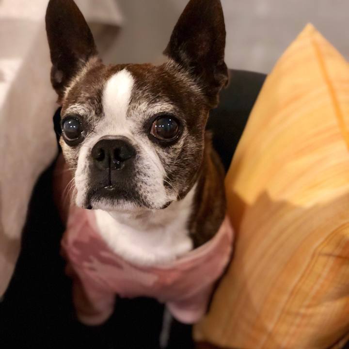 Cb87d730 565d 49df b308 5862f62030f2 1511527283975