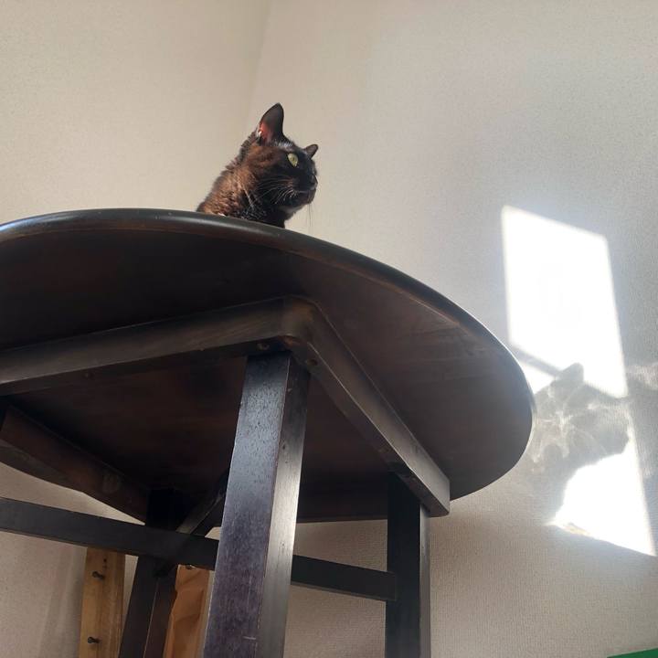 Cb87ea27 04c8 48f1 84e0 a85faf453d8d 1671076103279