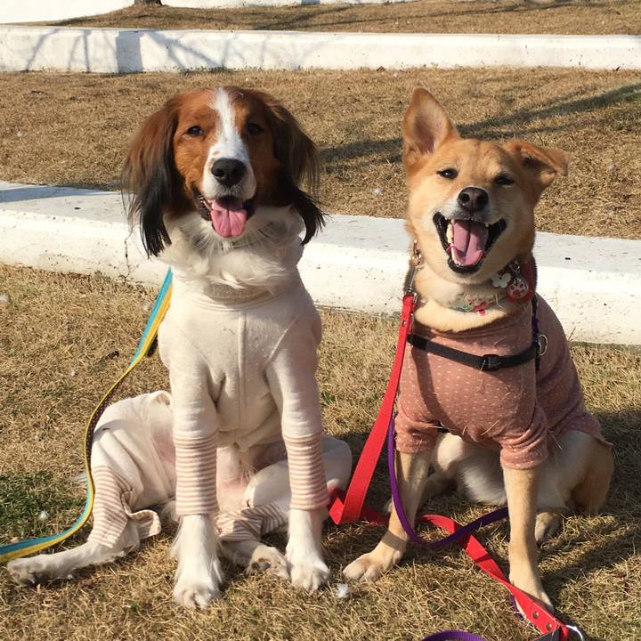 Cb88339b 897a 4c47 9303 8ae137eec42f 1547970064208