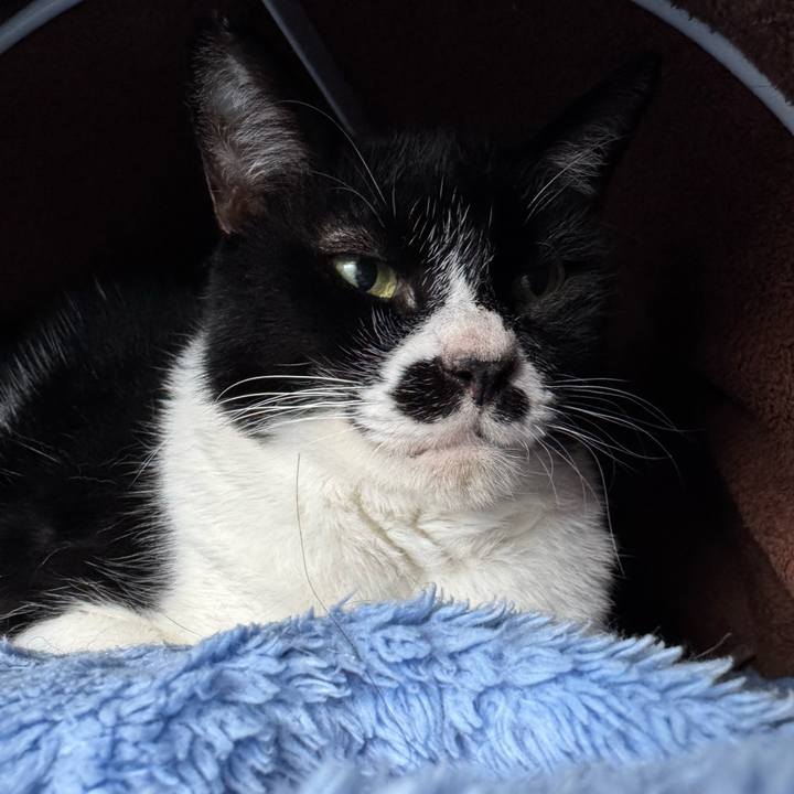 Cb88633a 37f5 48db 81c3 be1c84496ba0 1761640609685