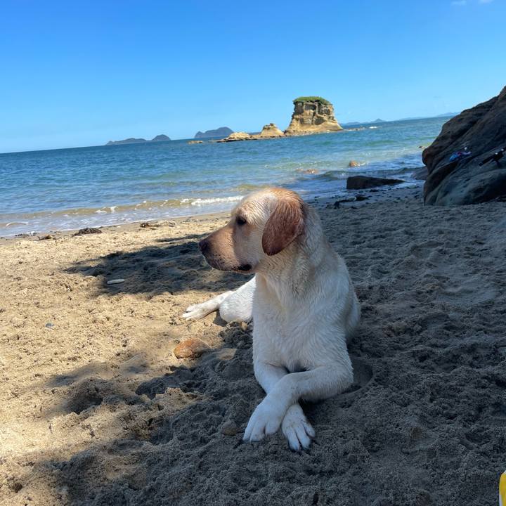 Cb8863ee 130f 4482 9fe8 8e8300d41303 1691205530945