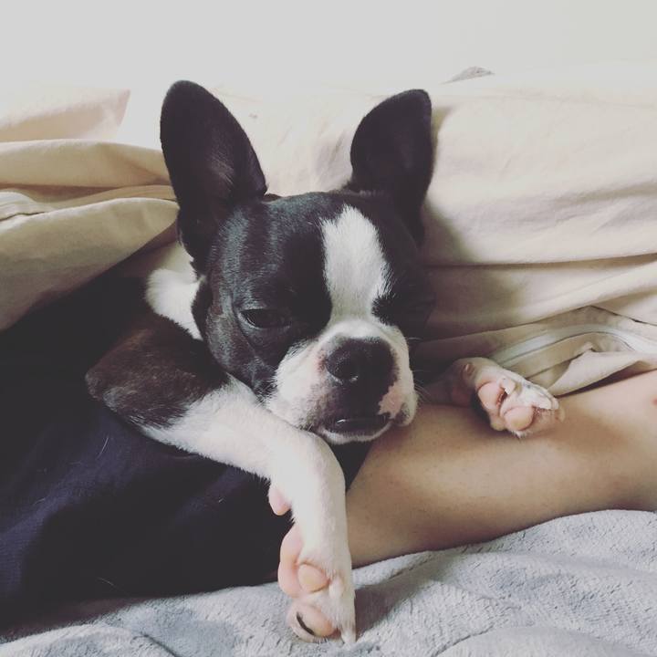 Cb886d81 9699 4be1 b171 0ab1c7a9b3e3 1524111026551