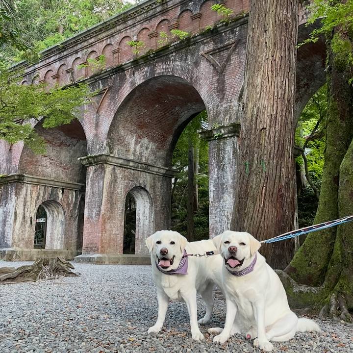 Cb88af1f 6858 4ec4 b5af 938499f150de 1764222417354