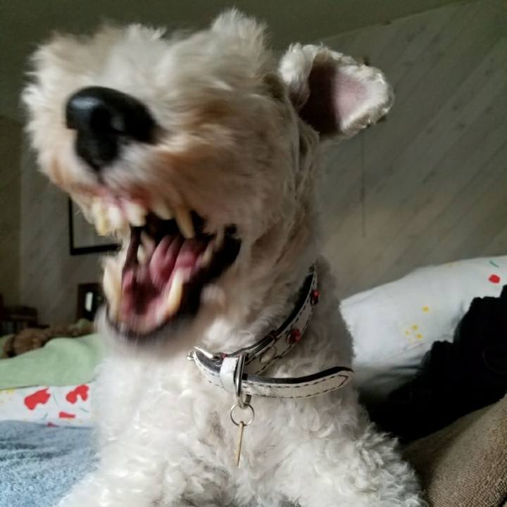 Cb88af87 4dc2 49b8 9e88 5786fbc18fcb 1525100374260