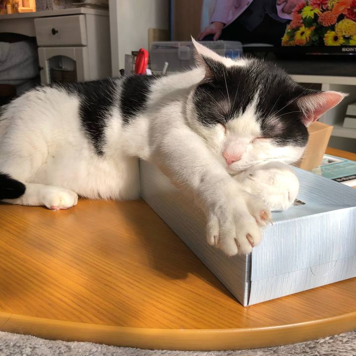 Cb88b99c e098 4e0a a833 72f11b57f10f 1605238852680