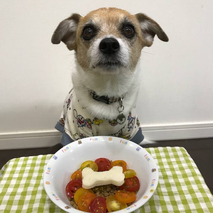 Cb88bc76 fa1c 4cd6 93a7 436e1c8a6da3 1584698673555