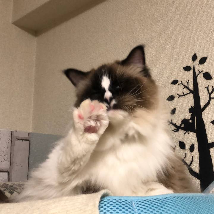 Cb88c809 5592 4fc5 b6ae 023258d198ee 1549232792734