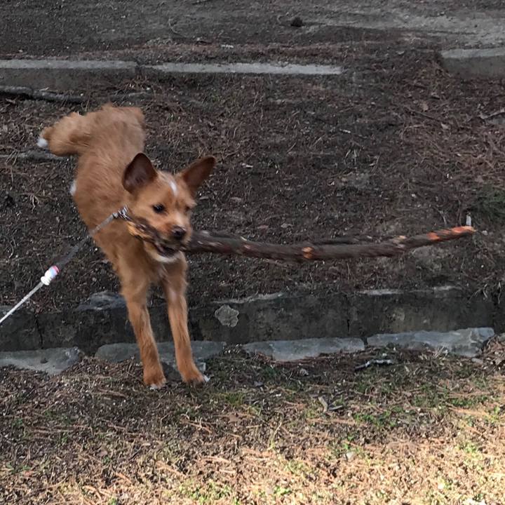 Cb88caa6 754c 43a4 b0f4 682d2f7225c3 1552520062209