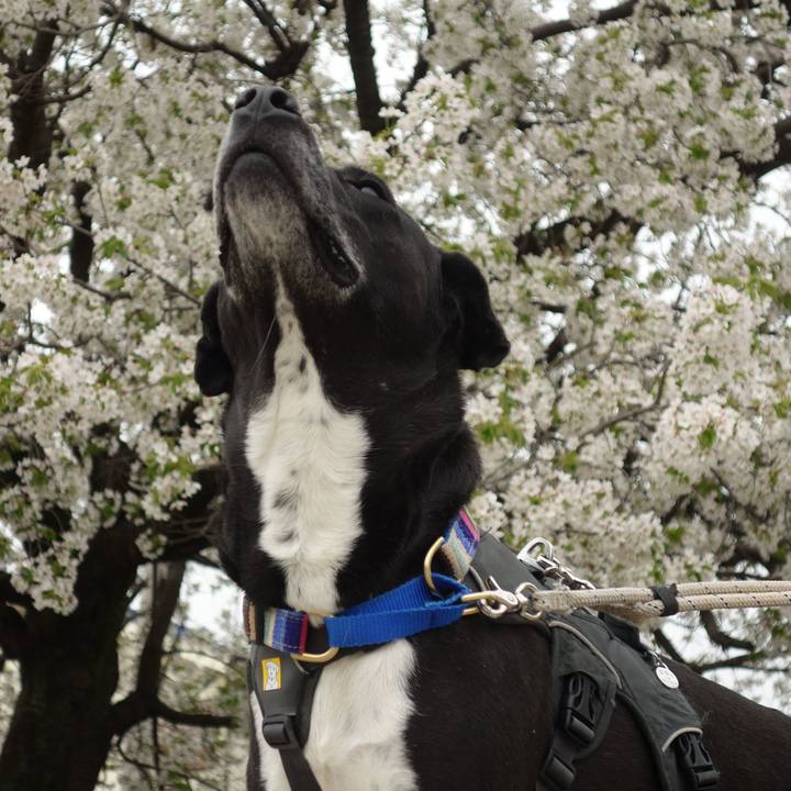 Cb88e2e2 cba4 43b6 b4ff d3691b72cbd4 1649293031088